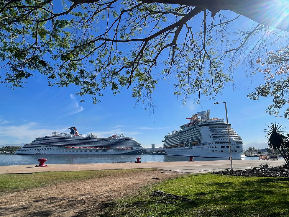 En junio apenas habrá cuatro arribos de cruceros internacionales