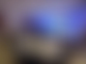 Pronostican una excelente temporada alta para Puerto Vallarta