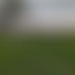 Puerto Vallarta avanza a octavos de final en la Copa Jalisco varonil