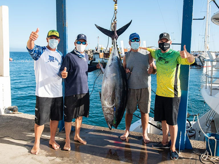 Invitan al 17 ° Torneo Internacional de Pesca Marlín y Atún Bahía de Banderas