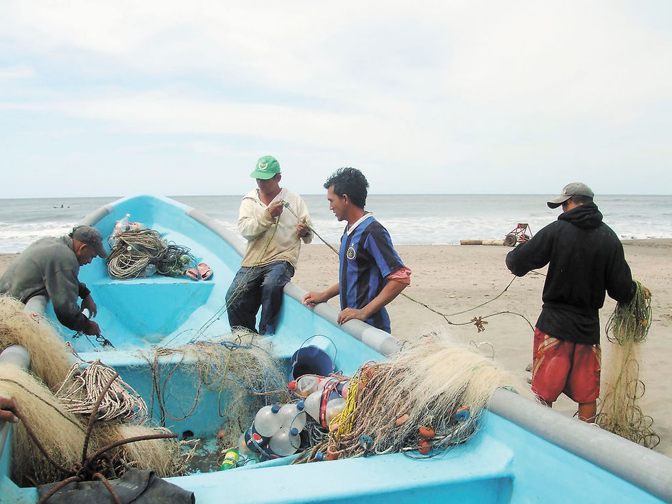 Cooperativas pesqueras de la región esperan fuerte impacto negativo por El Niño