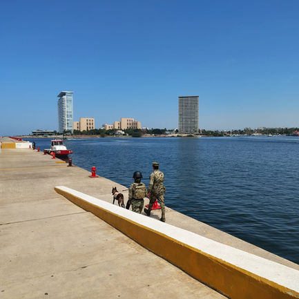 Con ampliación del Muelle 1 Puerto Vallarta podría recibir megacruceros