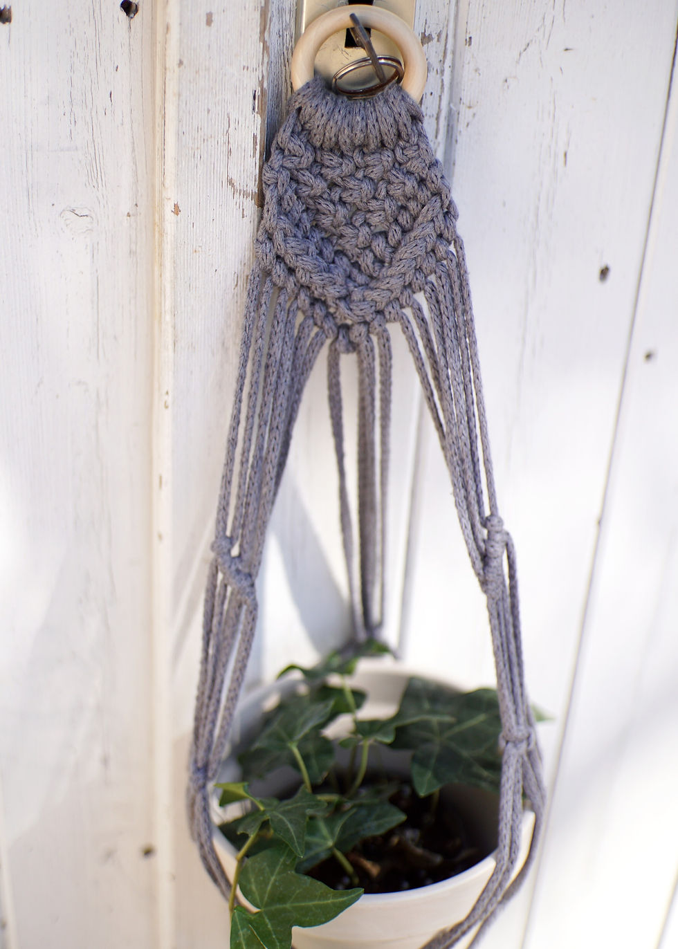 Thumbnail: Large Wall Plant Hanger