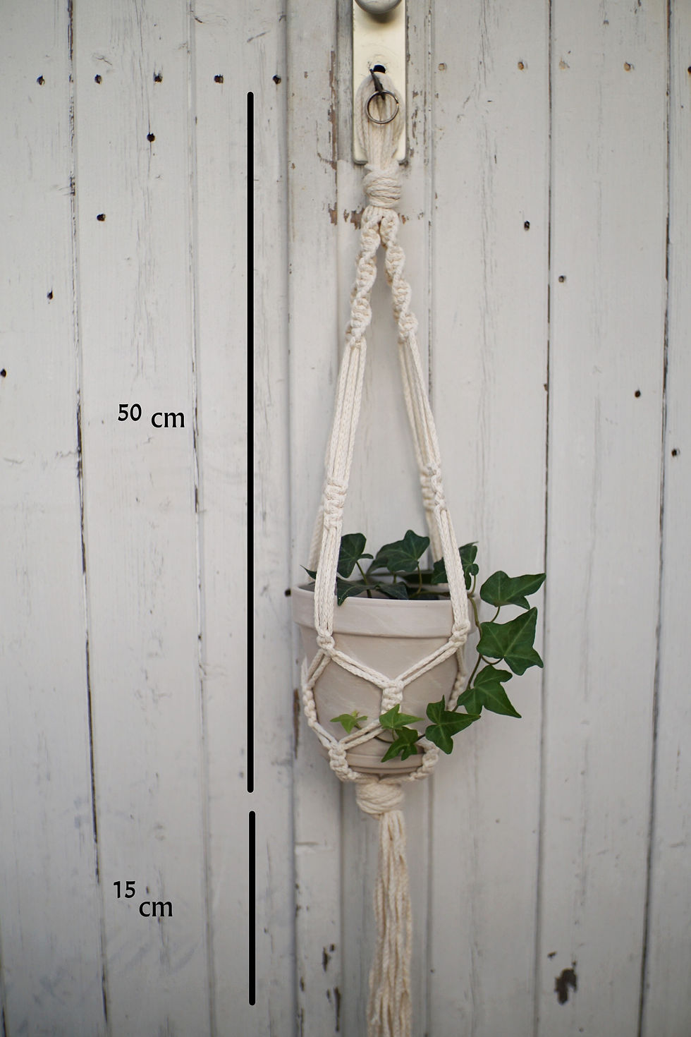 Thumbnail: Clean Design plant hanger