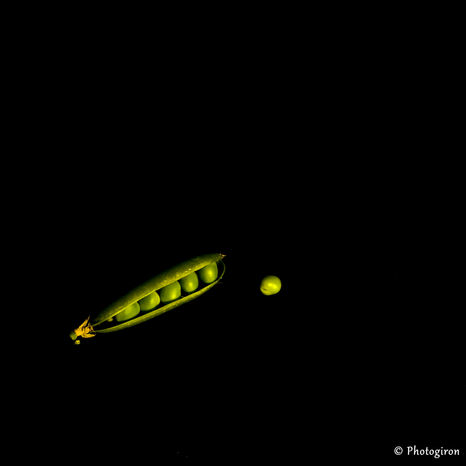 Hervé Dumoulin (Copier).jpg