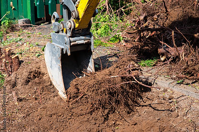 Flores Farm Tree Service