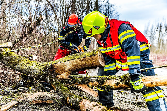 Stump Removal & Storm Cleanup Berkshire