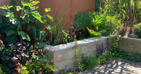 Finchley Urban Garden Redesign