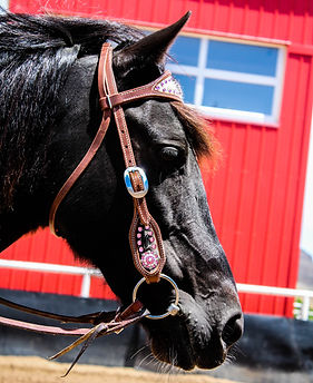 hot brand (10 of 14).jpg