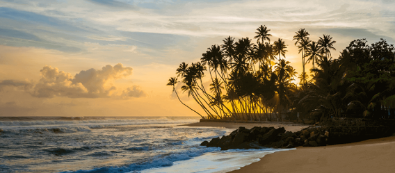 Sri Lanka Threat Landscape in 2023