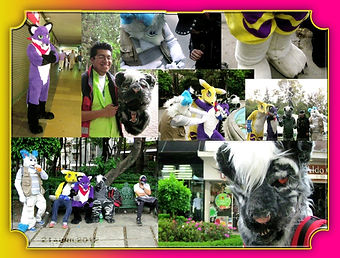 1346014226.tonallifurs_1a_reunione.jpg