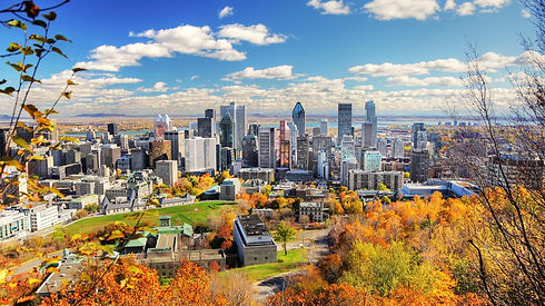 99204762-city-6966-162975ff04c.jpg