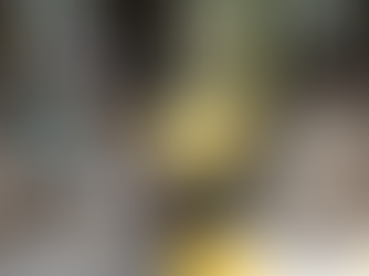 【佐倉市】平日忙しい方のための不用品回収!縁側のBefore/Afterと、土日対応の裏側