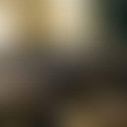 【佐倉市】仕事で散らかった部屋を一夜でリセット！コンビニ弁当や衣類も丸ごと回収