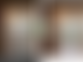 佐倉市 一軒家丸ごと不用品回収