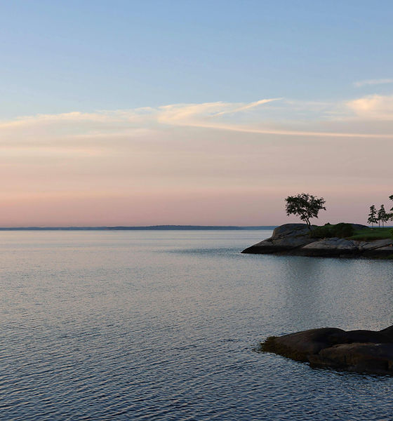 susan benner therapy in greenwich connecticut