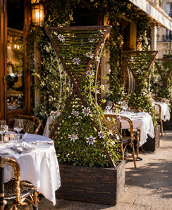 Treillage pour grimpante sur cadre bois en bambou origine France terrasse restaurant