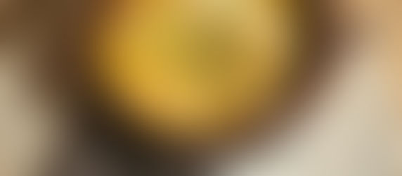 החוף הדרומי