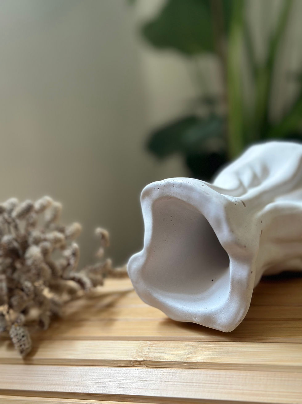 תמונה ממוזערת: עציץ בטון