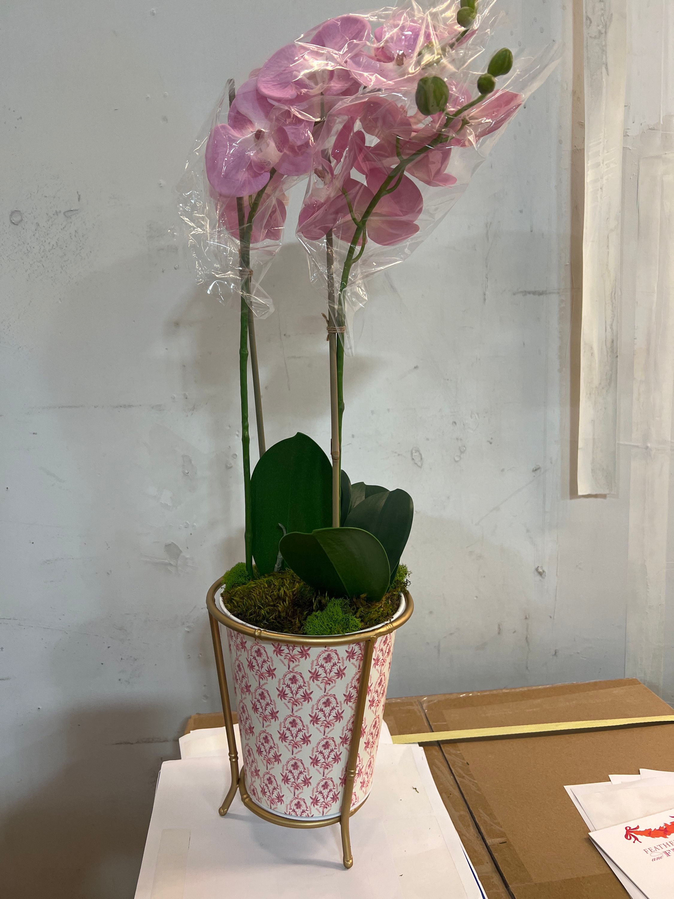 8.5” palm beach rose cache pot, Phalaenopsis orchid drop in 23