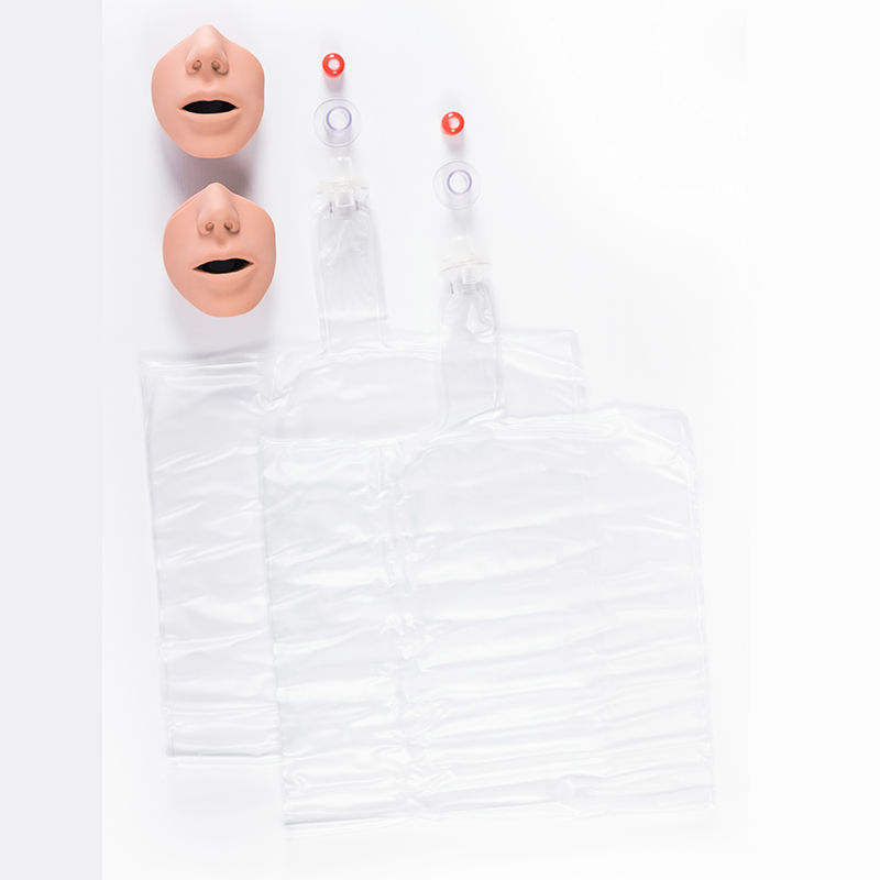 Thumbnail: Ruth Lee CPR Training Manikin