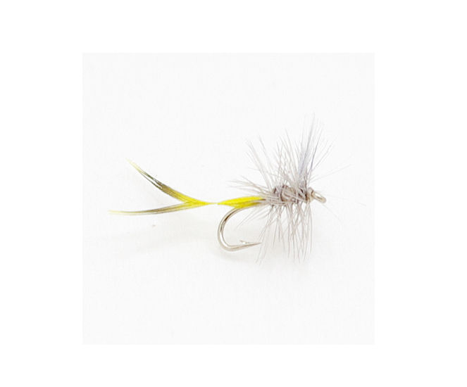 Grey and yellow fly fishing fly