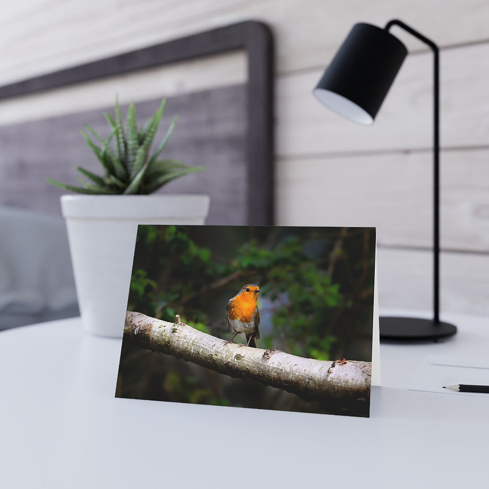 Thumbnail: Robin on a branch Photo Greeting Card — Blank Inside Nature Note Card