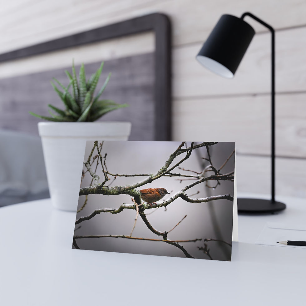 Thumbnail: Dunnock Bird Greeting Card — Photo Note Card for Bird Lovers