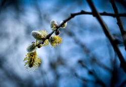 DSC_4847