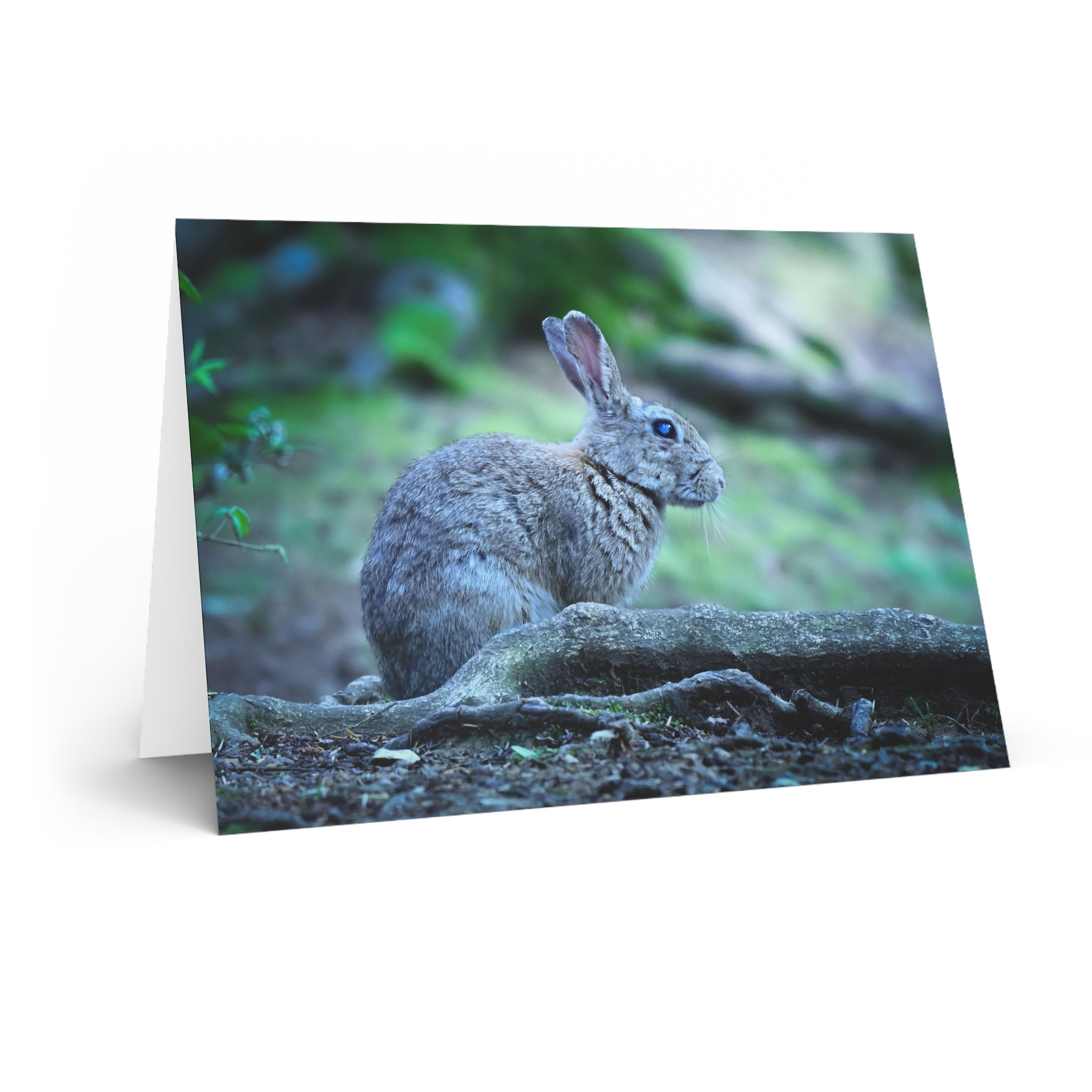 Rabbit in the Woods Greeting Card — Cute Wild Hare Photo Card for Nature Lovers