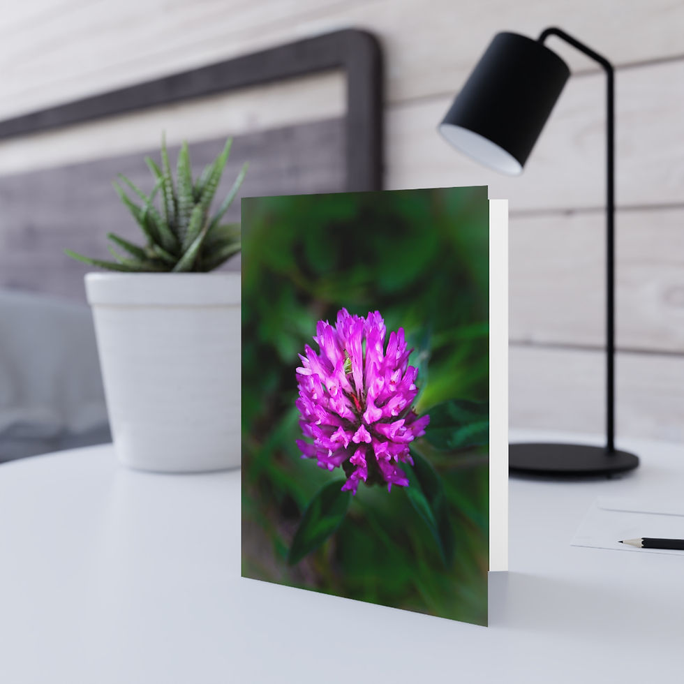 Thumbnail: Purple Clover with hidden Grasshopper Greeting Card — Blank Inside, Note Card