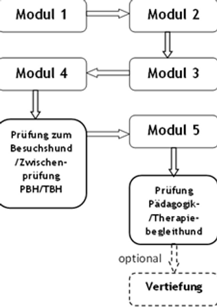 Grafik Ausbildungsmodule ATT.png