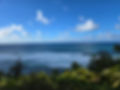 20241007_163357.jpg