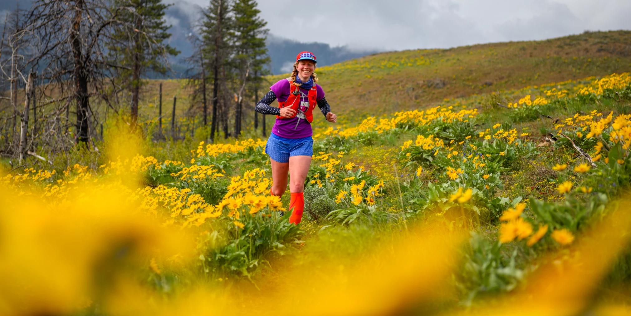 Sunflower Run
