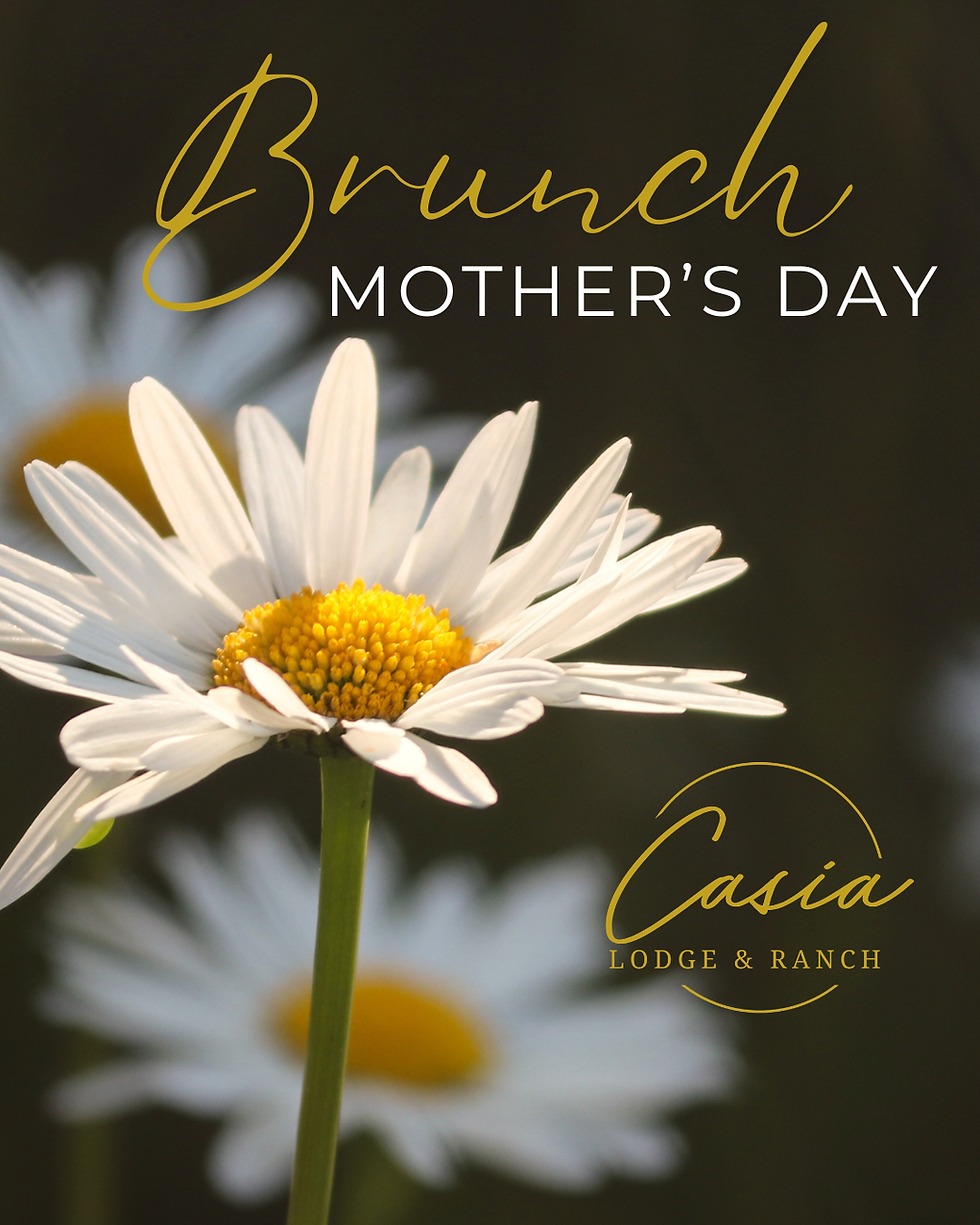 Mother's Day Brunch
