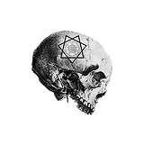 np logo TRANS SMALL white.png