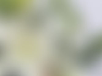 近日公開予定