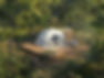C07.jpg