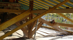 2018-11-06-P1170270-2018