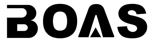LOGO BOAS_edited.png