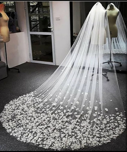 Fancy Veils for Brides to be!