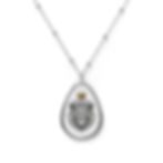Silver necklace with crowned lion pendant