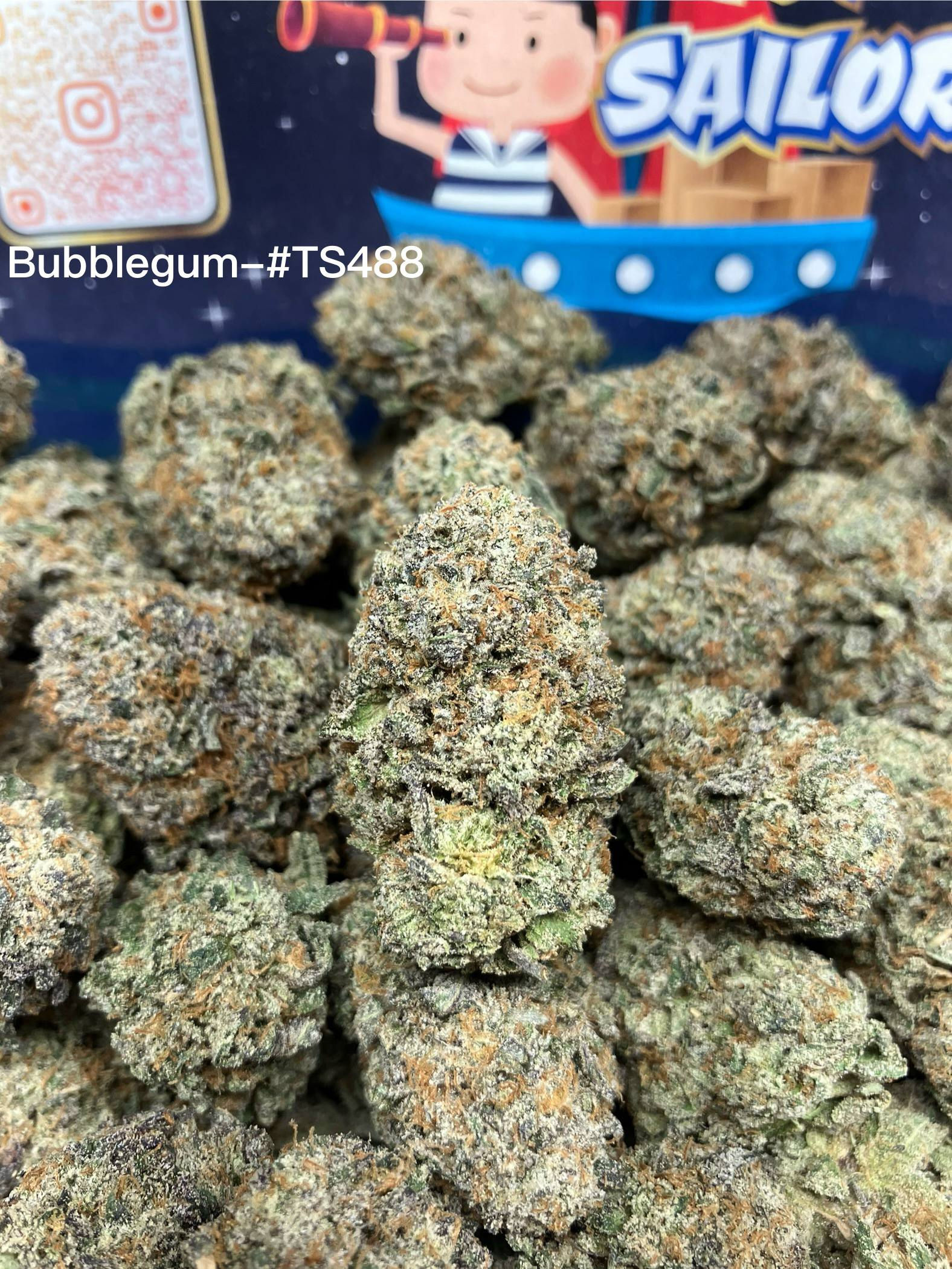 Bubblegum #TS488