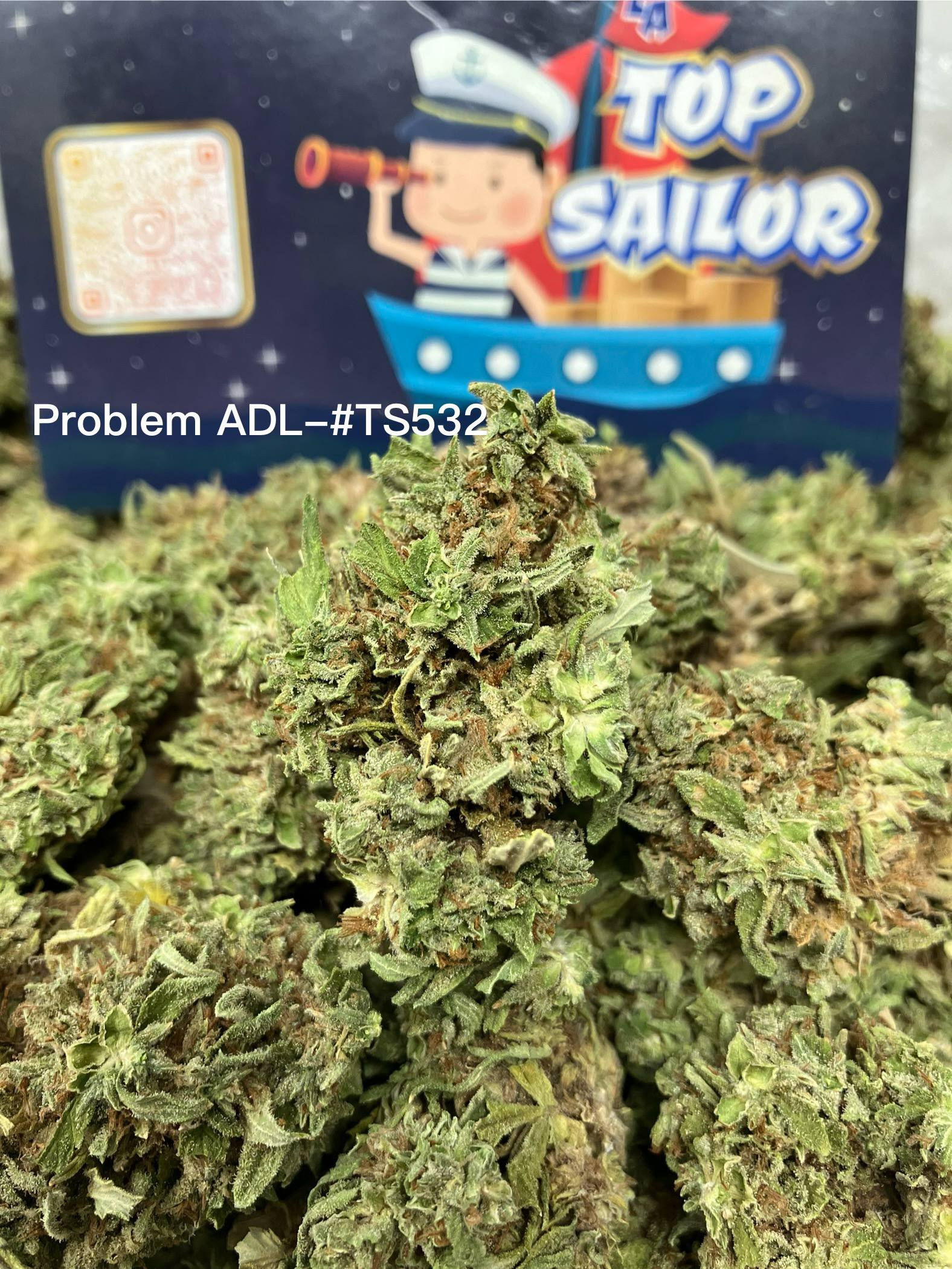 Problem ADL #TS532