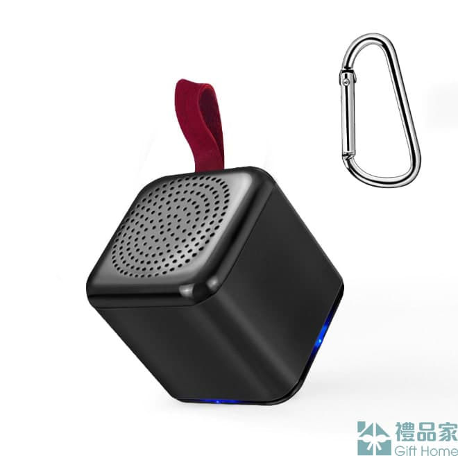 縮圖：迷你皮革手提藍牙音箱