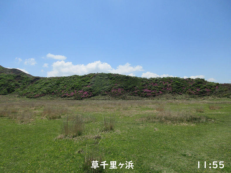 260515-1155a.JPG