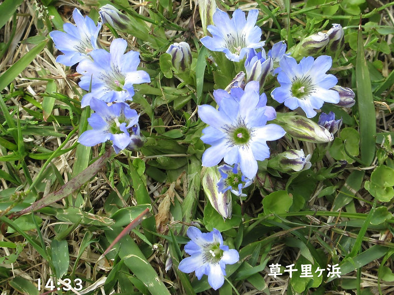 260515-1433.JPG