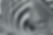 zebrabackground.jpg