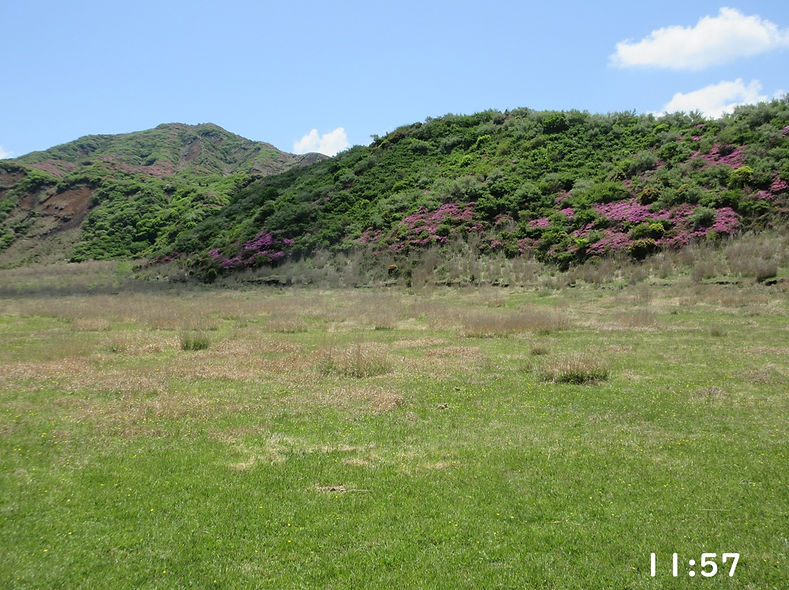 260515-1157.JPG