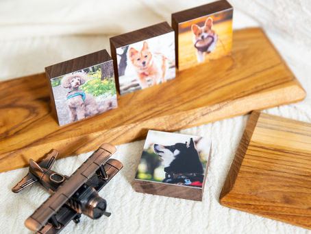 愛犬ちゃん愛猫ちゃんそして...